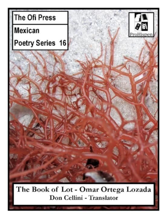 Libro de Lot