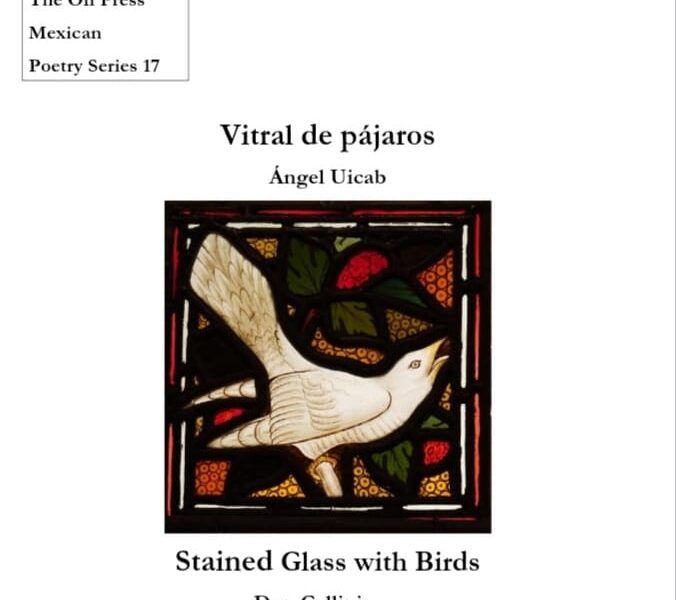 Pájaros