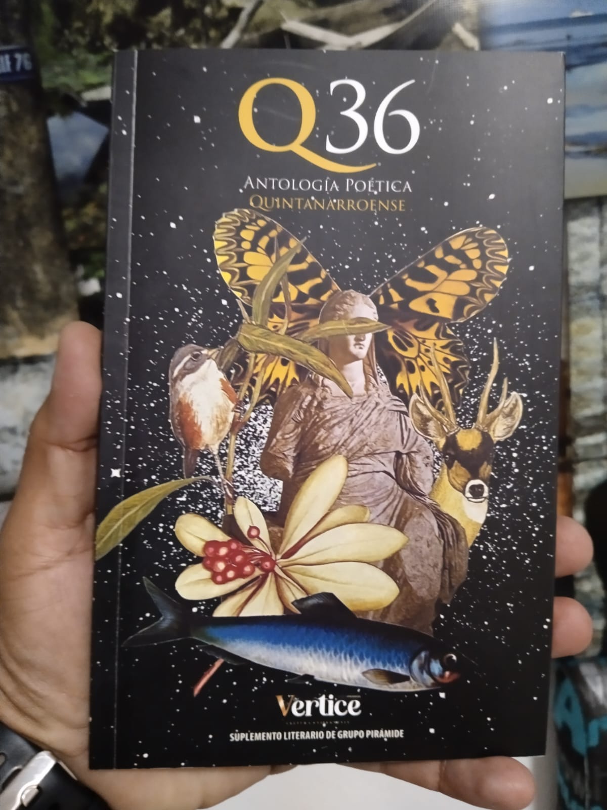 La antología cuya portada exhibe una obra del artista visual Luciano Elizalde.
