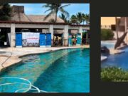 Rechazan turistas a hoteles de Quintana Roo con delfinarios y buscan opciones más sostenibles