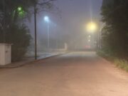 Tiempo extremoso también afecta a la flora y fauna, señala experto