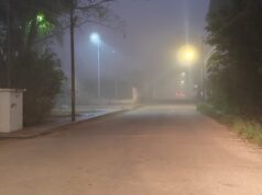 Tiempo extremoso también afecta a la flora y fauna, señala experto