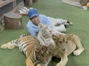 Extranjeros juntan firmas para exigir cierre de ‘Animalandia’