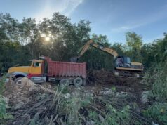 Inicia CADU tala de árboles frente a InHouse, en Playa del Carmen