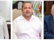 Opinión | De gallos, cisnes negros y pollos pelones | El Minotauro | Nicolás Durán de la Sierra