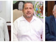 Opinión | De gallos, cisnes negros y pollos pelones | El Minotauro | Nicolás Durán de la Sierra