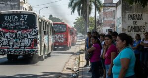 Opinión | ¿Es Cancún una ciudad cuidadora para las y los jóvenes universitarios? | Alma Mater | Christine McCoy