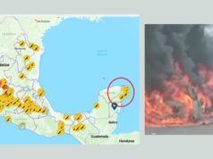 Detienen a 9 por quema de autos en Quintana Roo, ligados al CJNG