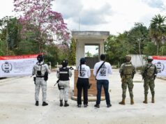 Aseguran autoridades desarrollo inmobiliario en Benito Juárez, por posibles delitos ambientales