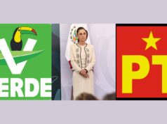 Respaldan PT y Verde propuesta del plan B, que incluye tope a gastos y consultas públicas