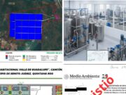 Revisa Semarnat proyectos en Cancún, Puerto Morelos y zona sur de Quintana Roo