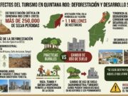 Alcanza deforestación niveles críticos en Quintana Roo por la expansión urbana y agrícola