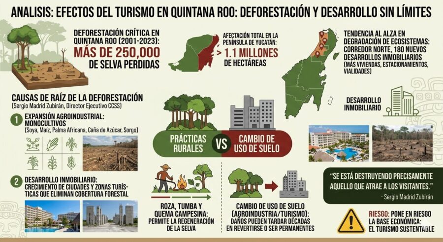 Efectos del turismo y otros