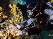 Tulum | Advierten pérdida de información única por ingreso ilegal de buzos a cueva Hoyo Negro