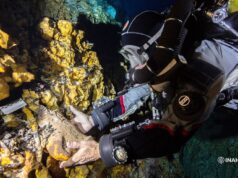 Tulum | Advierten pérdida de información única por ingreso ilegal de buzos a cueva Hoyo Negro