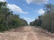 Denuncian avance de ‘ilegal’ libramiento en Tulum, pese a clausura