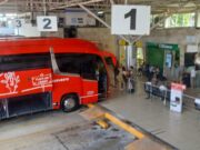 Sufrió ADO reducción en número de pasajeros en la Riviera Maya estas vacaciones