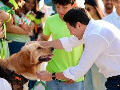 Aprueban reforma para endurecer sanciones por maltrato post mortem a animales