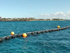 Instalan 5 kilómetros de barreras antisargazo en Playa del Carmen