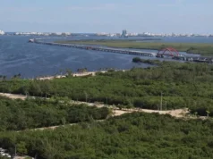 Desde el primer día, 38 camiones de pasajeros darán servicio en el Puente Nichupté