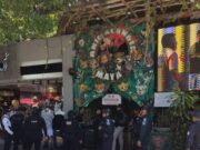 Catean ‘Animalandia’ de la Quinta Avenida y detienen a su propietario