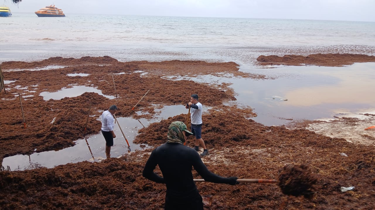 IMG-20260505-WA0056
