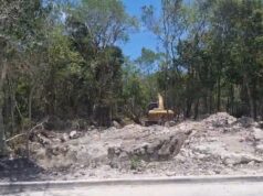 Abren selva para instalar antena policiaca en Aldea Zama