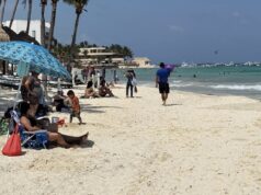 Certificaciones Blue Flag y Platino siguen vigentes en Playa del Carmen, aclaran