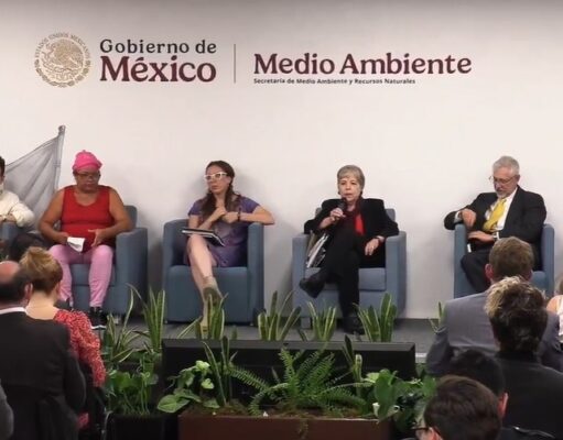 Anuncia Alicia Bárcena, titular de Semarnat, que no se aprobará el proyecto Perfect Day en Mahahual