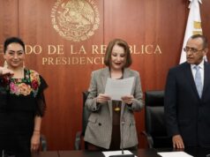 Pide Anahí González licencia como senadora