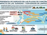Intensifican retiro de sargazo tras suradas en playas de Cancún