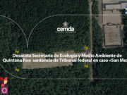 Señala CEMDA que SEMA ha incumplido con un mandato judicial en el caso del proyecto «San Mex»