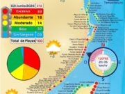 Isla Mujeres, Cozumel, Puerto Morelos y Cancún, únicos puntos de Quintana Roo con bajos niveles de sargazo