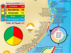 Isla Mujeres, Cozumel, Puerto Morelos y Cancún, únicos puntos de Quintana Roo con bajos niveles de sargazo