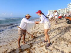 Fortalece Ana Paty Peralta el cuidado de playas con más de 25 mil toneladas de sargazo recolectadas desde octubre de 2024