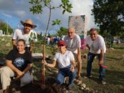 Bajo el liderazgo de Ana Paty Peralta, Cancún recibe distintivo Internacional por su Arbolado Urbano