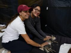 Vela Ana Paty Peralta por el bienestar animal de mascotas