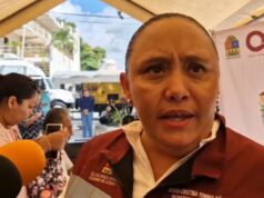 Aumenta CFE brigadas para atender apagones en zonas rurales: Cristina Torres
