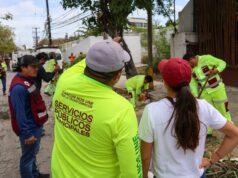 Anuncian trabajos para el retiro de cableado aéreo en el centro de Cancún
