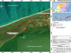 Impide incendio previo, autorización de hotel de 49 habitaciones en Holbox