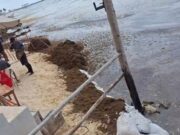Aparece ojo de agua en costas de Playa del Carmen, pero lo tapa el sargazo