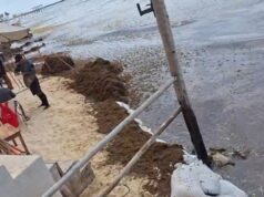 Aparece ojo de agua en costas de Playa del Carmen, pero lo tapa el sargazo