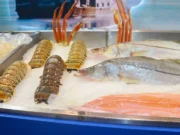Alertan por contaminación de microplásticos en alimentos y océanos
