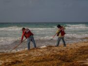 Cancún iguala en medio año todo el sargazo recolectado en 2025