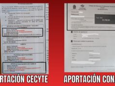 Exhibe denuncia de Marea Verde contradicción entre discurso oficial y cobros por inscripciones