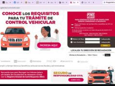 Concentra SATQ en su portal los datos para hacer válido el seguro vehicular