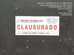 Frena Profepa desarrollo de Macondo Playacar por carecer de MIA