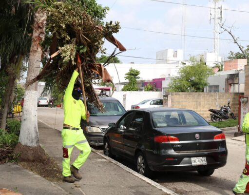 Firme labor de erradicación de basureros clandestinos en Cancún