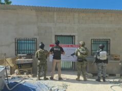 Desmantelan 2 centros de cultivo de marihuana, a raíz de ataque armado en la Huayacán