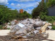 En proceso de ser multados, dueños de 10 predios baldíos en Playa del Carmen